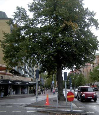 4 Södra delen av Linnegatan är bred och i bottenvåningarna är det en