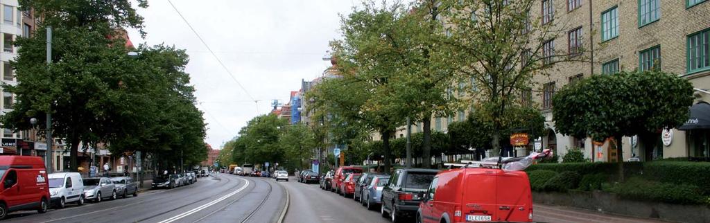 2 FÖRUTSÄTTNINGAR 2.1 BEFINTLIGA TRÄD Linnégatan är huvudsakligen planterad med Parklind (Tilia x europaea Pallida).