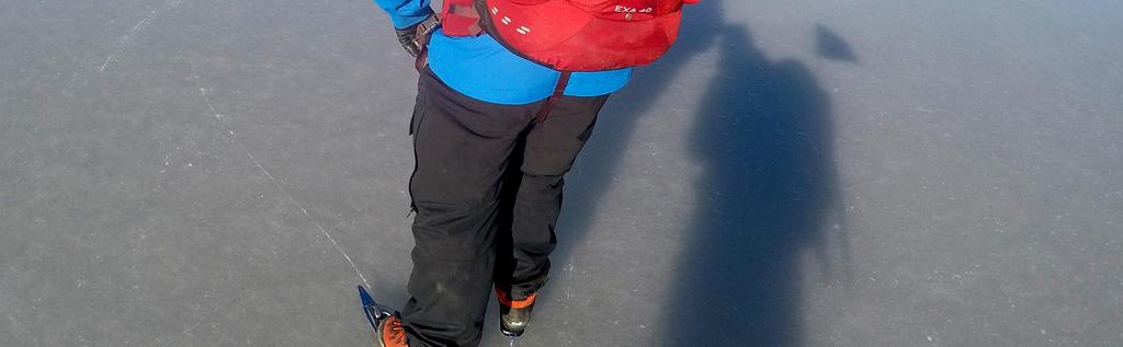 Man hade också två längre vandringar på lördagar, en på Järvafältet och en till Askare hage bortom Venngarn. Totalt deltog 155 personer i de olika turerna, d v s ungefär 10 personer varje gång.