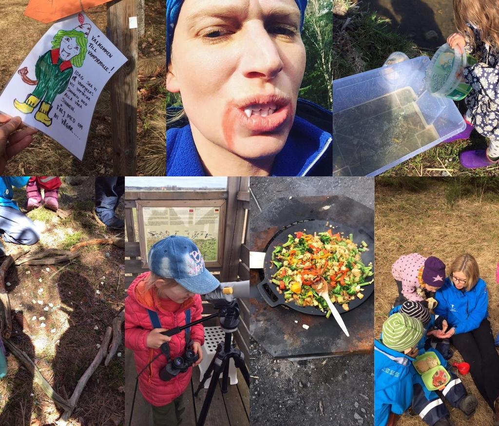 Det är väldigt roligt att följa barnens utveckling både som individer och grupp. Under 2017 har Blåbärsrävarna träffats sex gånger på våren och sex gånger på hösten.