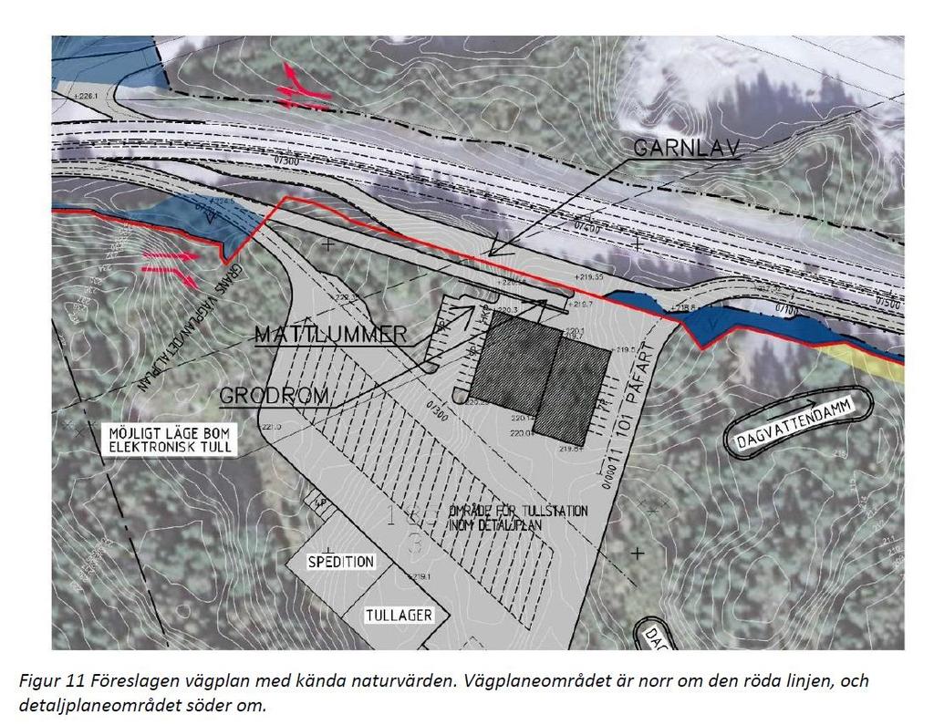 6(9) Nedanstående bild visar tullverksamhetens placering i förhållande till naturvärdena. Plans genomförande innebär att området kommer att bli kvartersmark och nyttjas för tullverksamhetens behov.