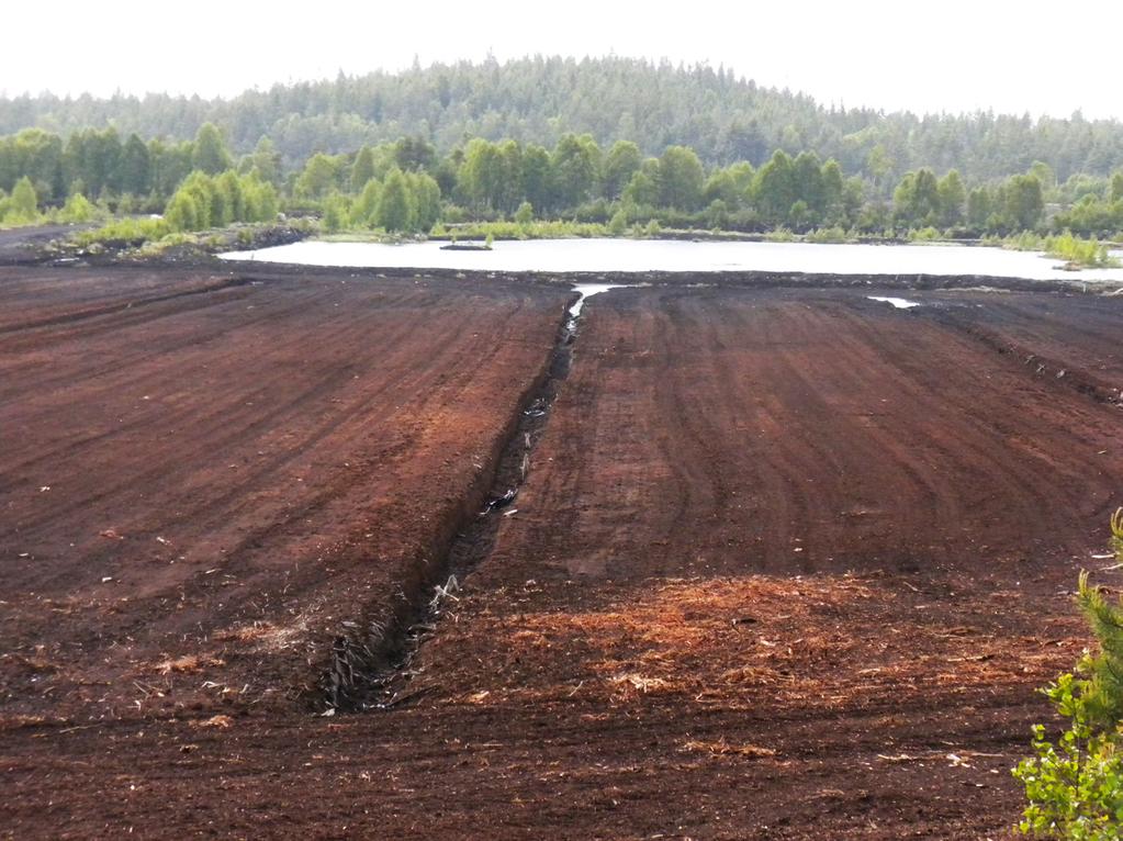 Energitorv Energy peat Produktionen av energitorv ökade 2016 jämfört med föregående år: från 1,1 miljoner kubikmeter till 1,4 miljoner kubikmeter.