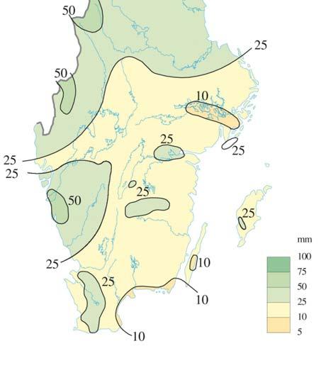 men med ett par frostnätter.