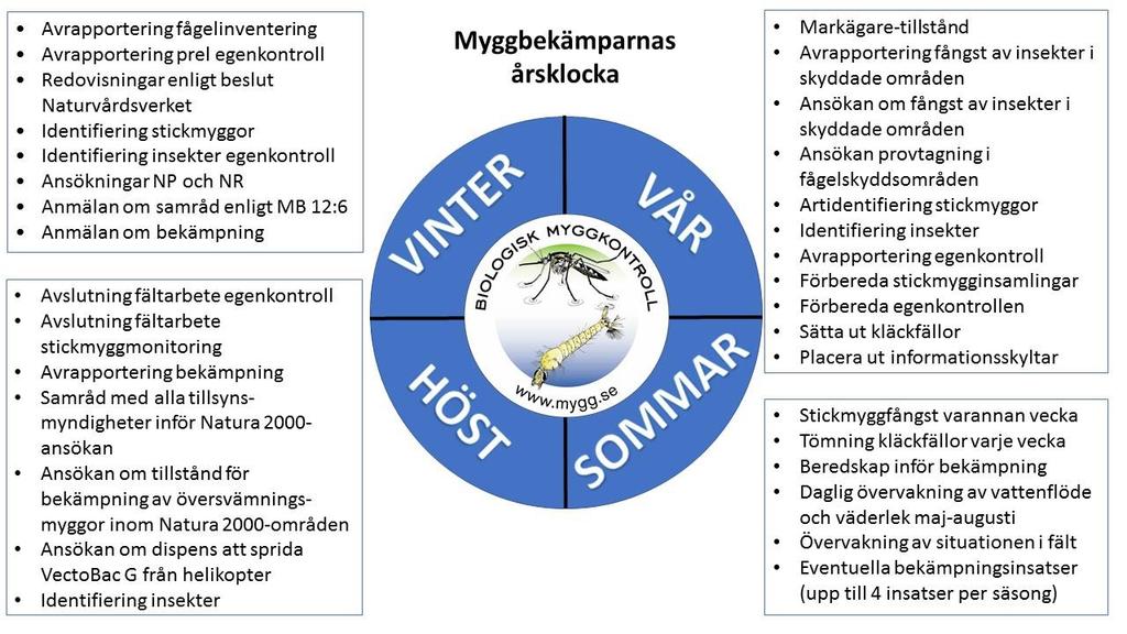 INSATSER UNDER 2017 BEKÄMPNING Bekämpningsprogrammet innebar ständig jour alla dagar i veckan under maj till augusti samt ett eller fler fältbesök per vecka till olika delar av området.