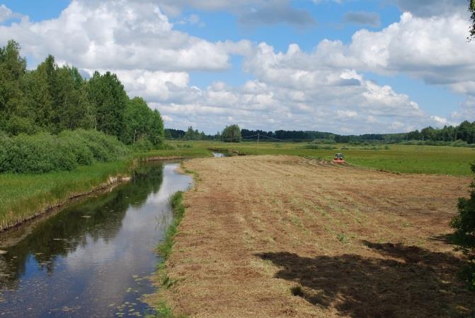 ÖPPET LANDSKAP Ett av NeDa:s viktigaste mål är att medverka till att behålla och utveckla det attraktiva öppna landskapet både för människor och för att gynna den biologiska mångfalden.