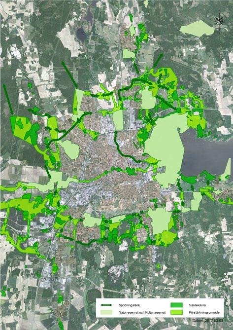 44 GRÖNSTRATEGI FÖR ÖREBRO KOMMUN Bilden visar hur områden med höga ekologiska värden bildar en grön ring runt Örebro stad. Många av världens städer ligger i områden med hög biologisk mångfald.