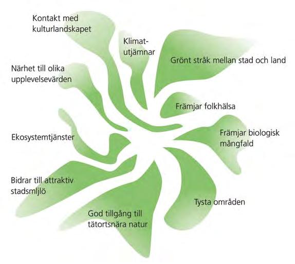 Regional och kommunal grönstruktur Värdet av gröna kilar är dels att tätortsborna kan komma i kontakt med naturen, dels att djur och växter kan finnas i bebyggelsens närhet och sprida sig långt in i