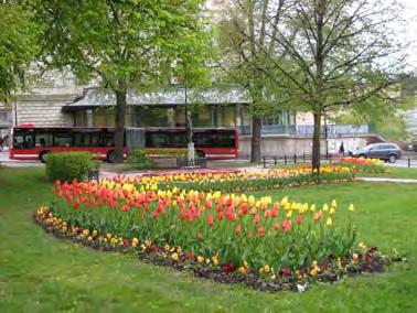 stadsdelarnas grönområden Centrum Grönstrukturen idag Stadskärnan är den minst gröna stadsdelen i Södertälje tätort.