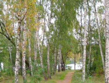 Vegetationen är lummig och består till stor del av dungar med lövträd i böljande grön terräng. Här finns inslag av både gammal och ny villabebyggelse.