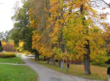 stadsdelarnas grönområden Saltskog Grönstrukturen idag Saltskog är ett miljonprogramsområde som delvis renoverades omfattande på 80-talet.