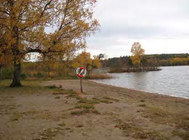 stadsdelarnas grönområden Måsnaren Grönstrukturen idag Måsnaren är huvudsakligen oexploaterat och nyttjas av de boende i hela staden för friluftsliv och rekreation.