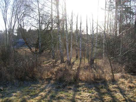 En stenåldersboplats på Släps-Kullen Med anledning av planerad byggnation utfördes en arkeologisk förundersökning inom en stenåldersboplats i Släps socken i Kungsbacka kommun Det undersökta området