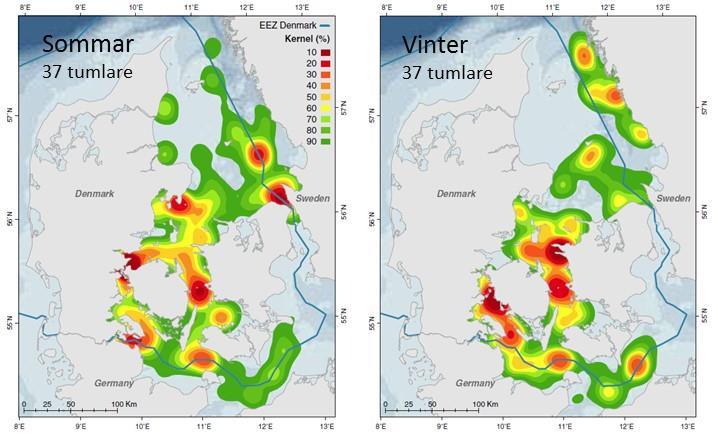 AquaBiota Report 2014:06 Figur 4. Täthet av tumlare från populationen i Kattegatt-Bälthavet-sydvästra Östersjön baserat på satellitmärkta tumlares utbredningsmönster.