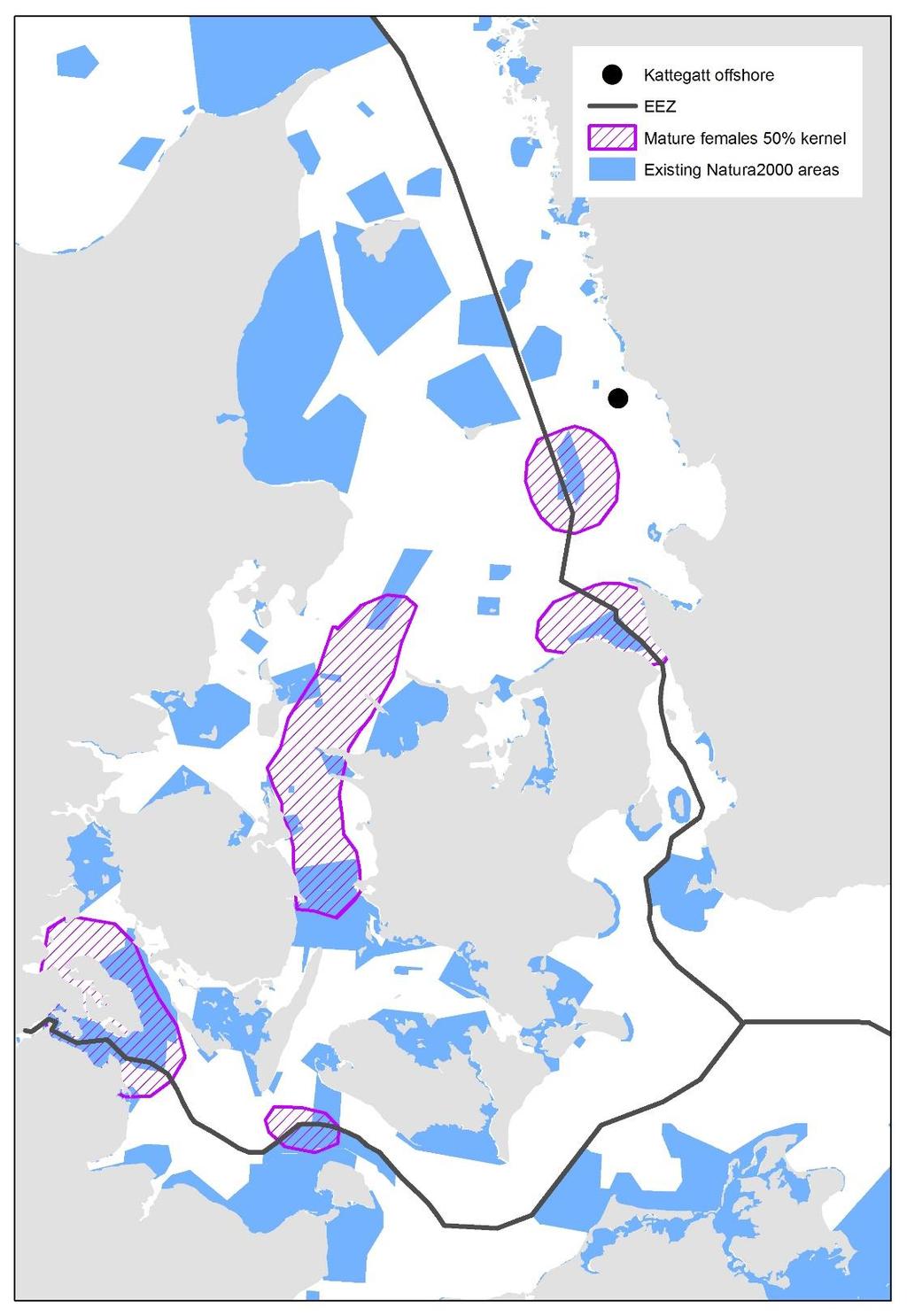 AquaBiota Report 2014:06 2 4 1 3 1. Fladen 2. Kims Top og den Kinesiske Mur 3. Lilla Middelgrund 4. Anholt og havet nord for 5. Stora Middelgrund och Röde bank 5 Figur 6.