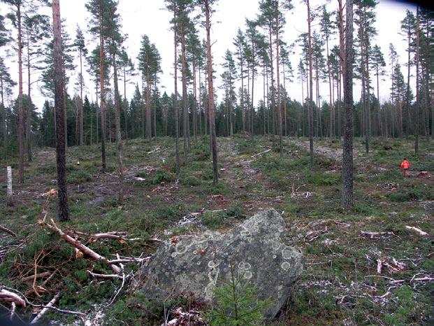 Inledning På fastigheten Ärlinghundra Häradsallmänning 2:1 planerar Arlandastad Holding AB att bygga övningsbanor för bilar åt polisen och privatföretag.