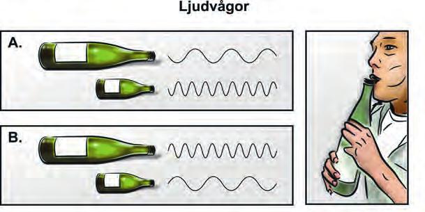 5. Luis blåser i två tomma glasflaskor med samma form men med olika storlek.