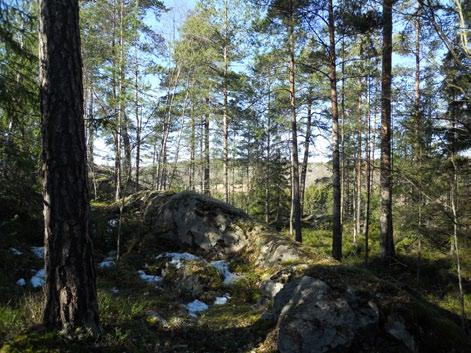 om planområdet, dock ej direkt angränsande.