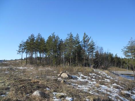 Området är inte detaljplanelagt, men gränsar i söder till den antagna detaljplanen för Södersätra och Kastellgården (Dnr 2008/715 KS. 203).