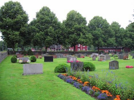 Vegetation Trädkrans växer innanför muren i söder och består av lind. Det växer ingen trädkrans i öster.