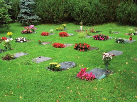 Runt brunnen finns en yta av sjöstensplattor. Ett stort svartmålat träkors står bakom brunnen. Två enkla bänkar står också vid brunnen.