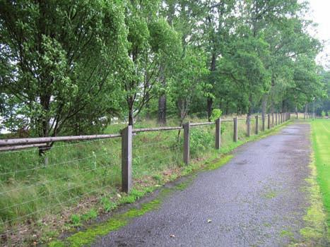 Skanskyrkogården Allmän karaktär Skanskyrkogården ligger väster om urnlunden och invigdes 1980. Den är uppdelad i mindre delkvarter, avgränsade sinsemellan med stenplattförsedda gångar.