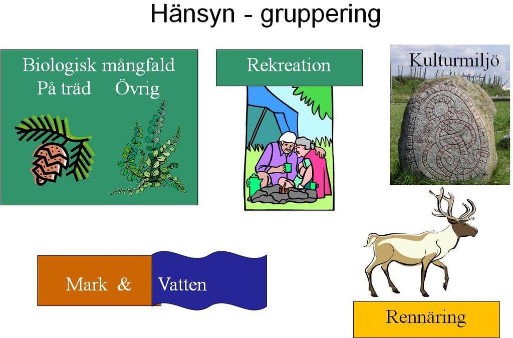 Värden för hänsynstagande Med inspiration från själva miljökvalitetsmålet Levande skogar och för överblick sorteras variabler i uppföljningen till en av grupperna: 1) Mark och Vatten 2) Biologisk