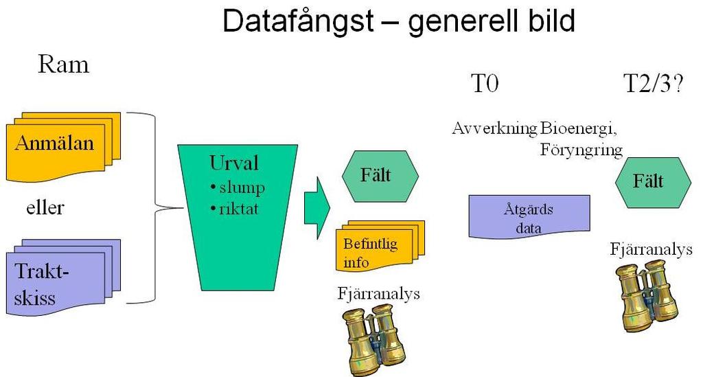 5 Datafångst Här beskrivs översiktligt uppbyggnaden av datafångst i ett nytt system.