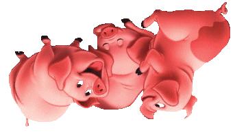 ÅRGÅNG 30, NUMMER 10 SIDA 3 LANTBRUKSKANSLIET INFORMERAR Anmälan om djurantal till svinregistret Alla som registrerat sig som hållare av svin skall tre gånger per år anmäla antalet svin/grisar till