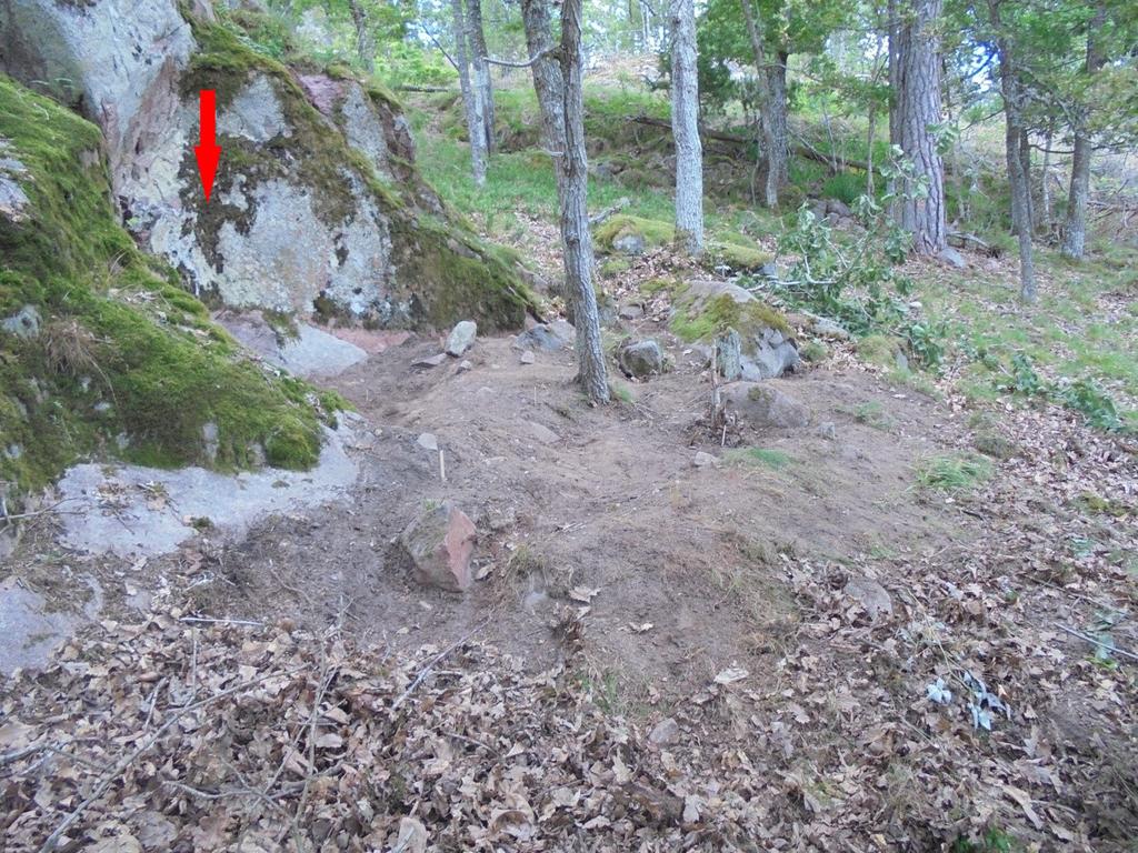 Figur 4. Den framrensande boplatsytan intill bergväggen. Den utskjutande delen av berget (mosstäckt) bildar tillsammans med bergväggen ett skyddat hörn av terrassen (röd pil). Vy från SV.