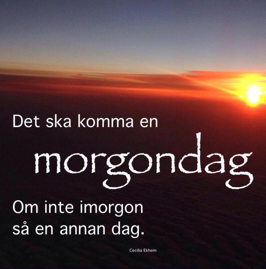 Tillsammans med RME Sverige bestäms vilken geografisk del av Sverige som lokalföreningen ska arbeta i. Steg 2: Utse en interimsstyrelse.