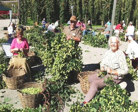 Ändrad markanvändning Stefan Gabrielsson tar fram uppgifter som visar på påverkan på skogen över tiden.