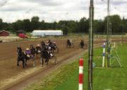 STINGER HANOVER (US) 9 14,9 M *13,3 AK 218 400 6,mbr. v.