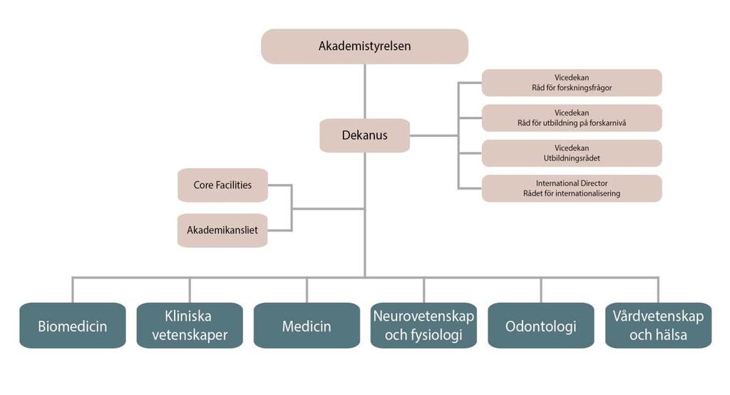 2014-12-10 3 1. Inledning Denna arbetsordning syftar till att översiktligt beskriva hur Sahlgrenska akademin är organiserad och var beslut bereds och fattas inom organisationen.