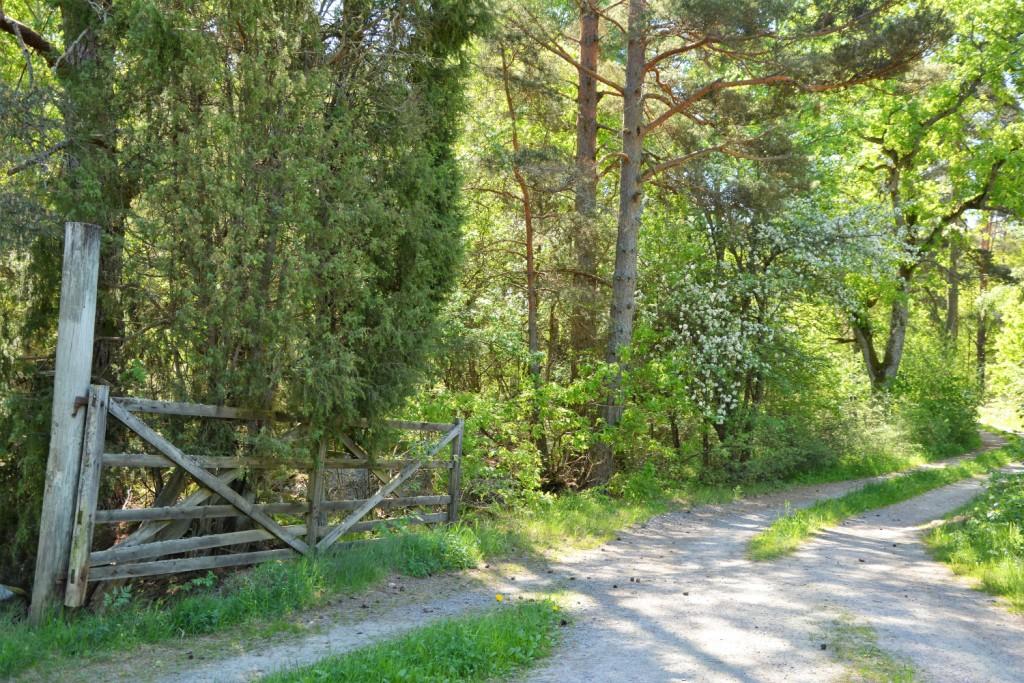 Bokslut/deklaration - Fastighetsbildning/lantmäterifrågor - Skogsbruksplaner - Skogsekonomisk rådgivning -