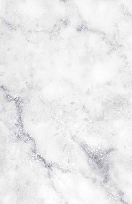 Styckade köttdetaljer FLÄSKKARRÉ BENFRI 39