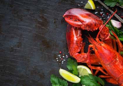 Fisk & skaldjur Perfekt till