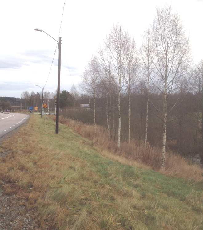 Markbeskaffenhet Den mark som används består av gräsmatta, grus eller asfalt.