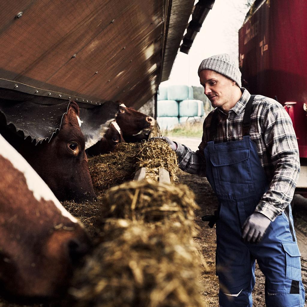FARMARIN RAELEIKE Inhemsk granulerad melassnitsel Innehåller rikligt med smältbara fibrer Öka blandningens