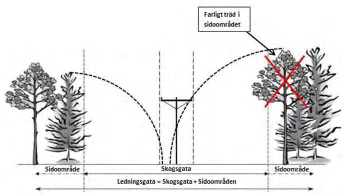 Miljökonsekvensbeskrivning till ansökan om nätkoncession Figur 5. Principskiss som visar vad som avses med skogsgata respektive ledningsgata.