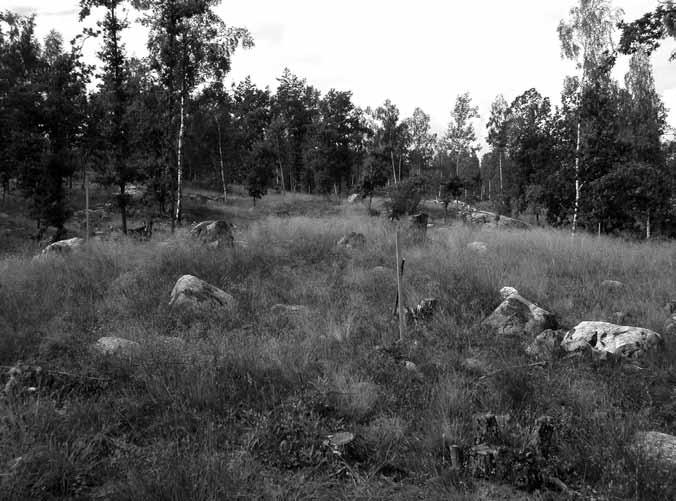 fornlämningsmiljön karakteriseras framförallt av gravfält och gravgrupper. Inom planområdet finns även ensamliggande stensättningar och husgrunder från historisk tid.