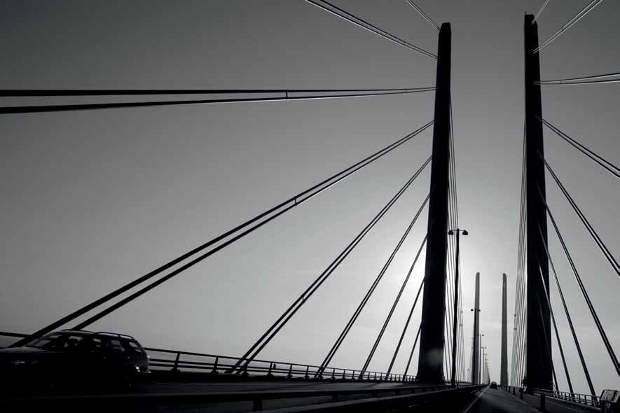 VIKTIG INFORMATION Om riskerna i investeringen En investering i placeringen är förenad med ett antal riskfaktorer. Nedan sammanfattas några av de mer framträdande riskfaktorerna.
