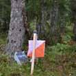 Start: Första ordinarie start kl 21.00. Öppna klasser start mellan 21.00-22.00. Inga toaletter vid start. Start 1: för klasser i FIVE-0 200 m. Orange/vit snitsel. Start 2: för övriga klasser 1000 m.