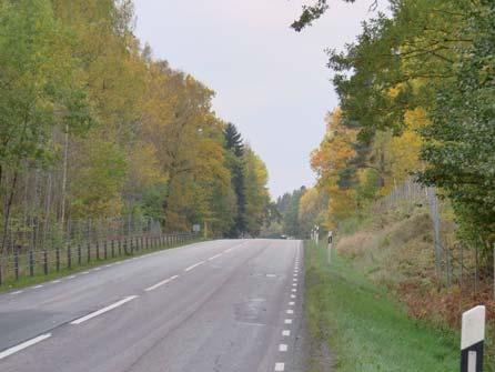 Närmast befintlig väg 34 en ekbevuxen ås. Sektion 9/000-9/750, skogslandskap barrskog Lätt kuperad barrblandskog som omger befintlig väg.