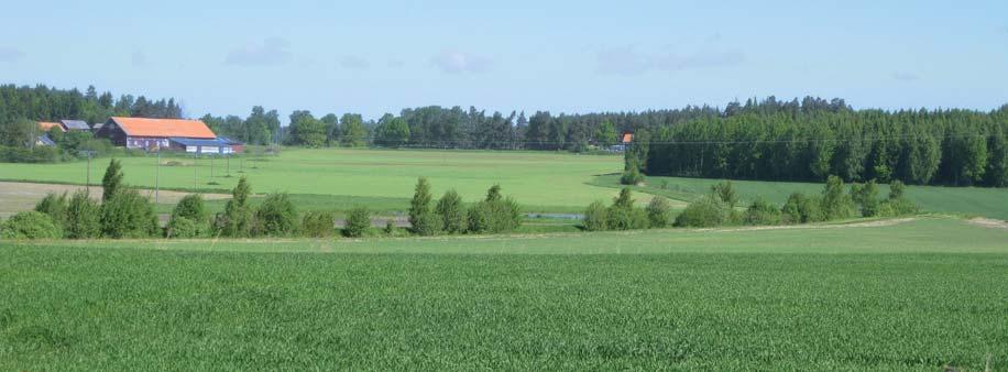 Boren BORENSBERG MOTALA Figur 4.1.2 Väg 34 ligger i övergångsbygden mellan den kuperade skogsbygden och den öppna slätten söder om Boren.