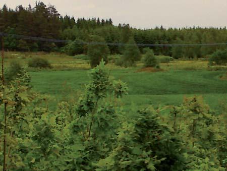 3/000 4/000 5/000 Mossagärdet Kulla 34 Hållingstorp Boren Figur 4.1.