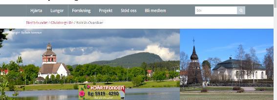 BESÖK VÅR HEMSIDA PÅ INTERNET Ni hittar den genom att skriva bollnäs-ovanåker hjärtlung i Googles sökfält eller skriva: www.hjart-lung.se/riksforbundet/gavleborg/bollnas-ovanaker.