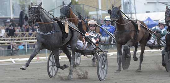 Gratulerar Antonio Tabac 8 018 Antonio