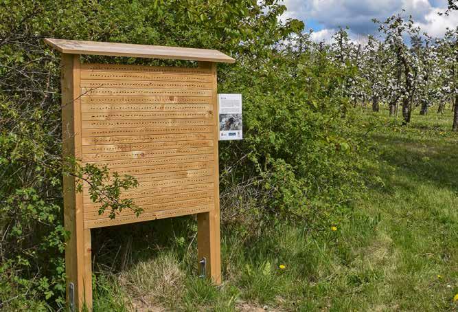 Storskalig bivägg för att föröka hålbyggande solitärbin. Maten nära boet För att gynna solitärbin och hjälpa dem att bli fler måste du erbjuda både föda, i form av blommor, och lämpliga boplatser.