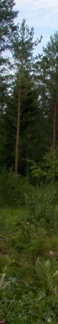 .1Konsekvenser för växtligheten och värdefulla naturobjekt 10.1.1 Konsekvensmekanismer De mest signifikanta konsekvenserna av projektet för växtligheten uppstår unpå grund der vindkraftsparkens byggskede.