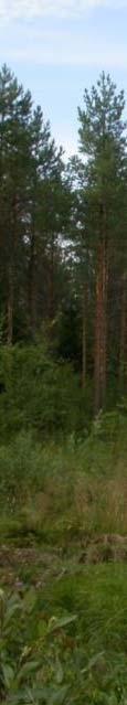 För direkta konsekvenser sätts ettt område på cirka enn hektar per kraftverk.